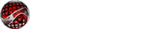 CIW Logo